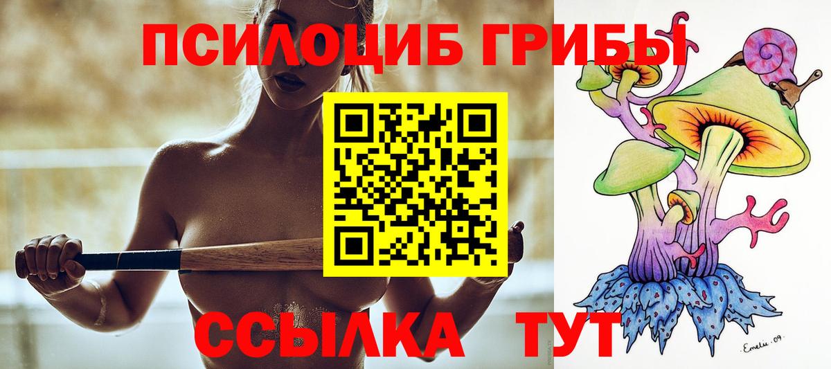 Псилоцибиновые грибы Cubensis  Вход с VPN  Псилоцибиновые грибы MAGIC MUSHROOMS  Канаш 